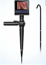 equine endoscope